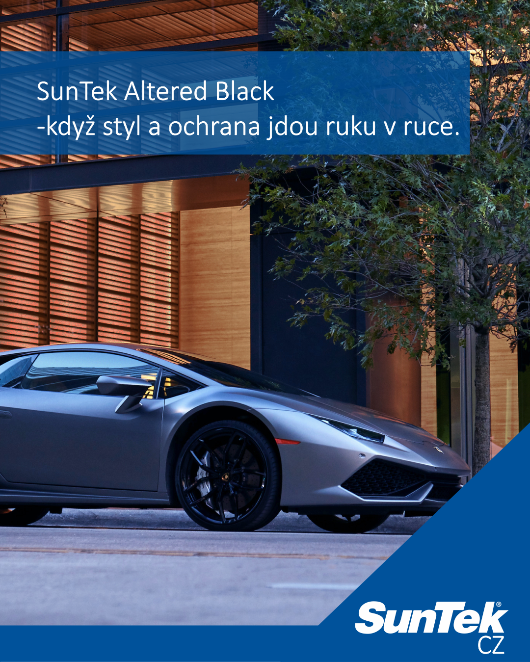 Stručný popis obrázku